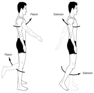 Terminology in Physiotherapy