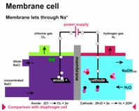 Membrane_cell.gif